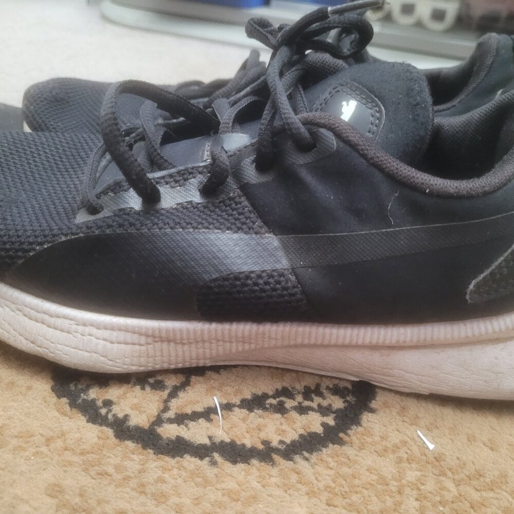 Pumas